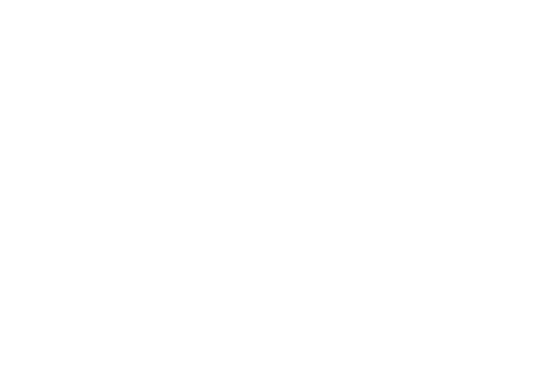 Vertpro Logo